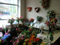 /album/galerie-de-photos-abbeville/dscn1093-jpg/