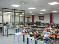 /album/galerie-de-photos-feuquieres-en-vimeu/photo0385-jpg1/